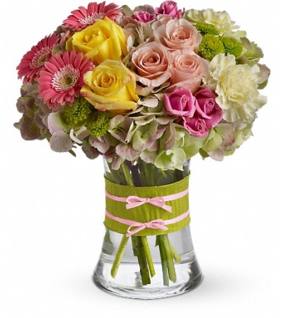 Fashionista Blooms Fashionista Blooms