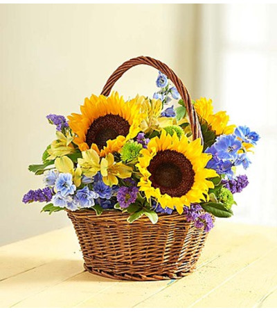 Fields of Europe Summer Basket™ Fields of Europe Summer Basket™