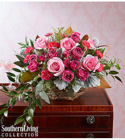 Natural Beauty™ by Southern Living™ Natural Beauty™ by Southern Living™