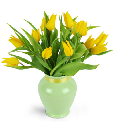 Totally Tulips™ Totally Tulips™