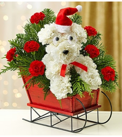One Dog Open Sleigh™ One Dog Open Sleigh™