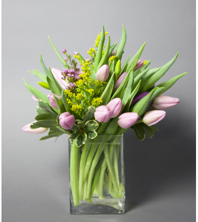 Tulips To Brighten Your Day Tulips To Brighten Your Day