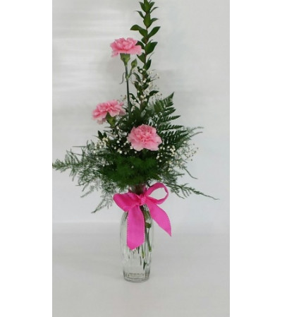 The Pink Carnation Vase The Pink Carnation Vase