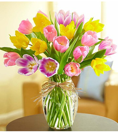 Timeless Tulips® Timeless Tulips®