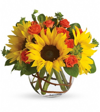 Sunny Sunflowers Sunny Sunflowers