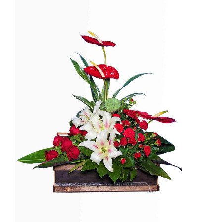 ZEN FLOWER ZEN FLOWER