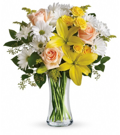 Teleflora's Daisies and Sunbeams Teleflora's Daisies and Sunbeams