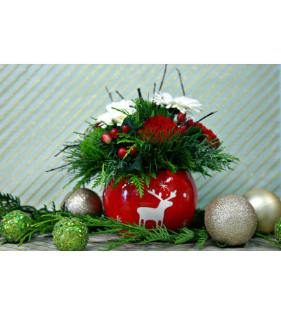 Reindeer Greetings Reindeer Greetings
