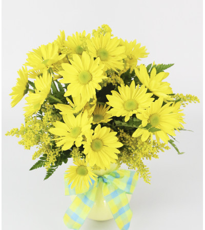 Mellow Yellow Mellow Yellow