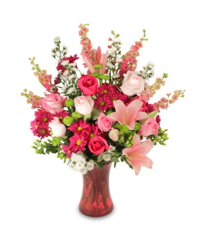 My Beautiful Pink My Beautiful Pink