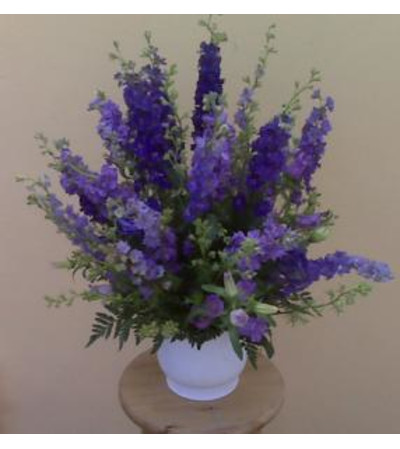 PURPLE PASSIONS PURPLE PASSIONS