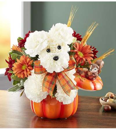 a-DOG-able® for Fall a-DOG-able® for Fall