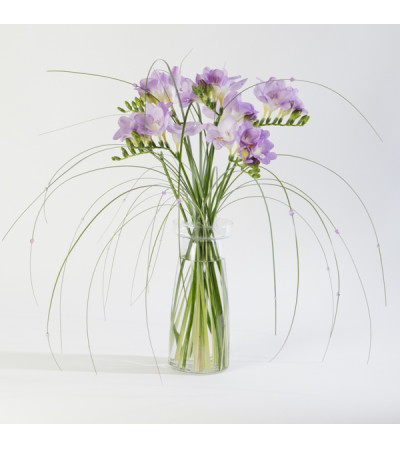 Freesia in Beaded Grass Freesia in Beaded Grass