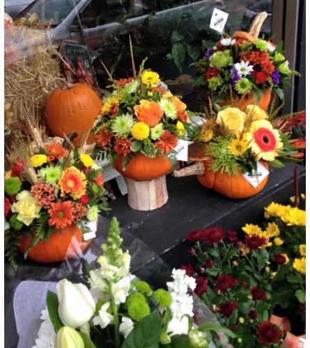 Autumn Pumpkin Centerpiece. An arrangement by The Flower Shop in the Village.