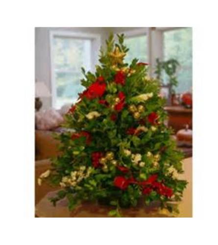 Oregon boxwood tree decorated