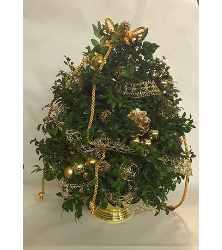 Boxwood Tree