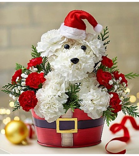 Santa Puppy