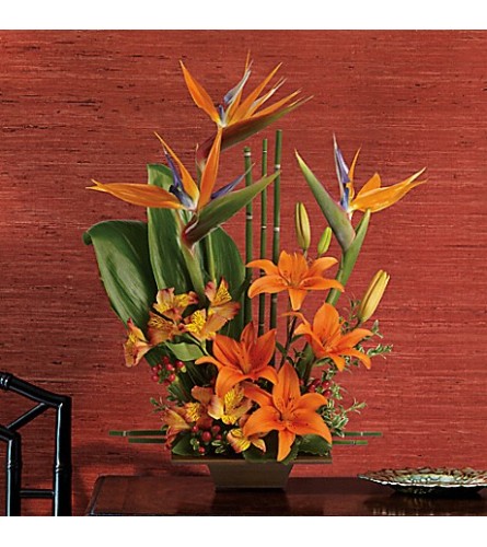 Tropical Grace