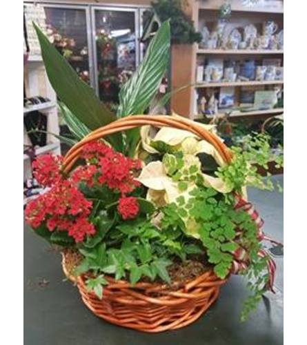 Christmas European Garden Basket