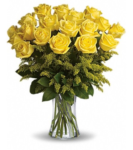 Burst of yellow roses