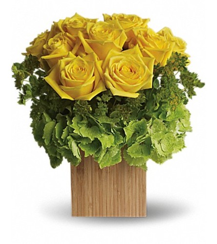 HYDRANGEA AND ROSES - Deluxe. An arrangement by Fine's Flowers.