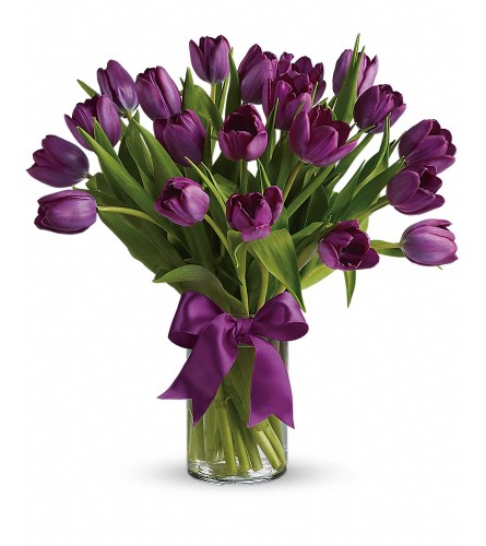 PASSIONATE PURPLE TULIPS