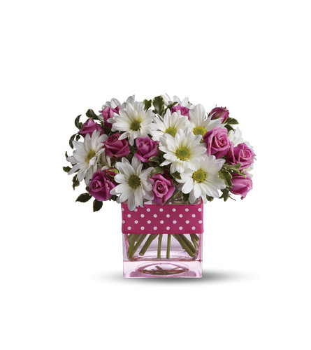 Polka Dots And Daisies