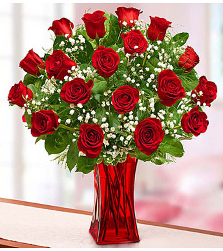 Red Roses Premium