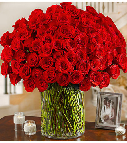 100 Long Stem Red Roses - The Bouqs Co.