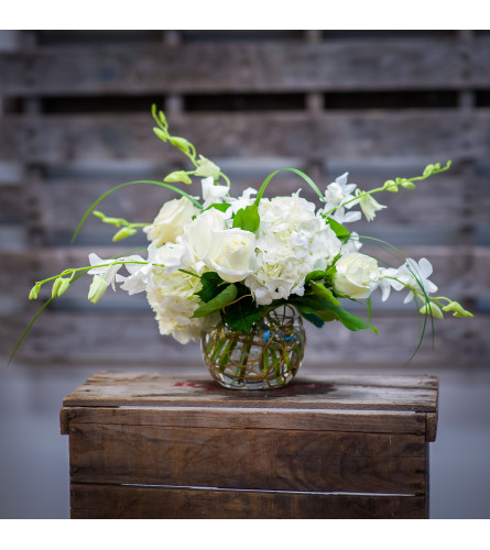 Elegant Whites