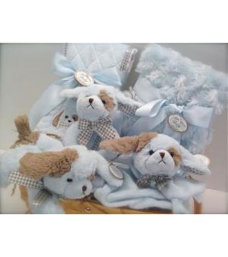 Baby Gift Basket for a Boy