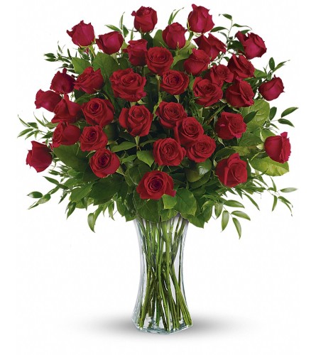 Breathtaking Beauty Red Roses