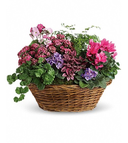 Simply chic garden - Deluxe. An arrangement by Fine's Flowers.