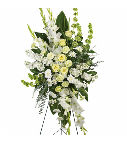 Classical Elegance