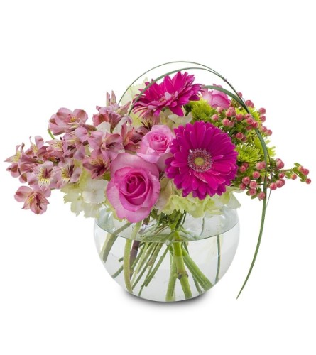 Grace Arrangement