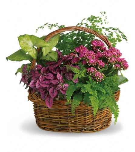 Secret Garden Basket