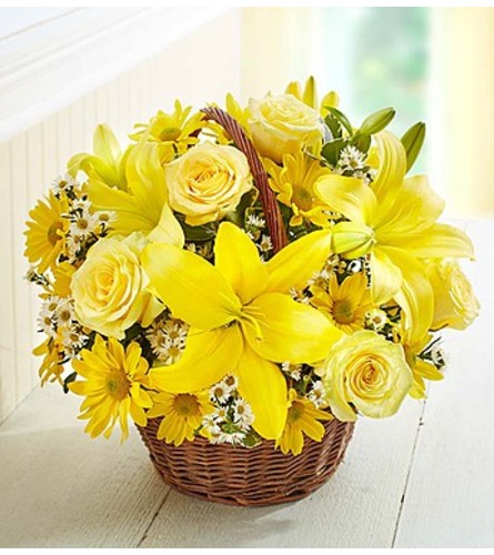Spring Sunshine