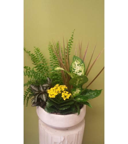 Round Mixed Tropical Planter