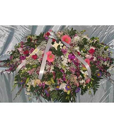Purple Dendrobium & Gerbers GF-CC10