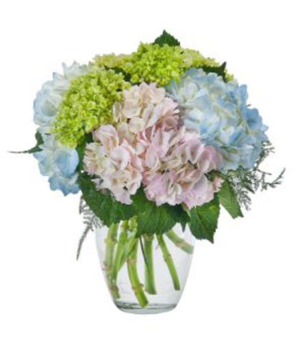 Hydrangea Happiness