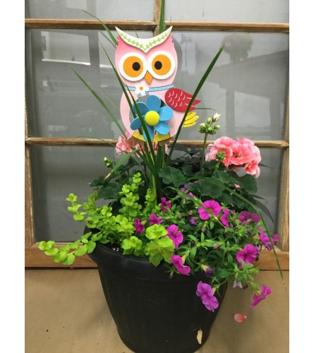 Outdoor English Patio Pot - Deluxe. An arrangement by Forest Florist.