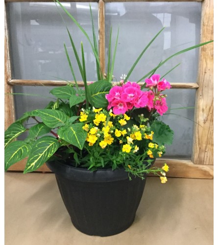 Outdoor English Patio Pot