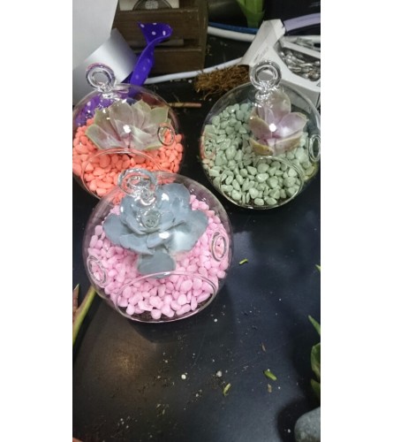 Mini Succulent Terrarium