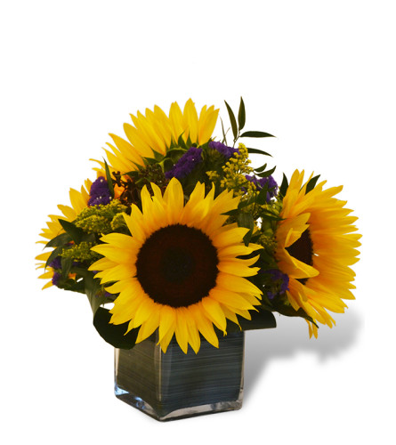 Sending Sunshine