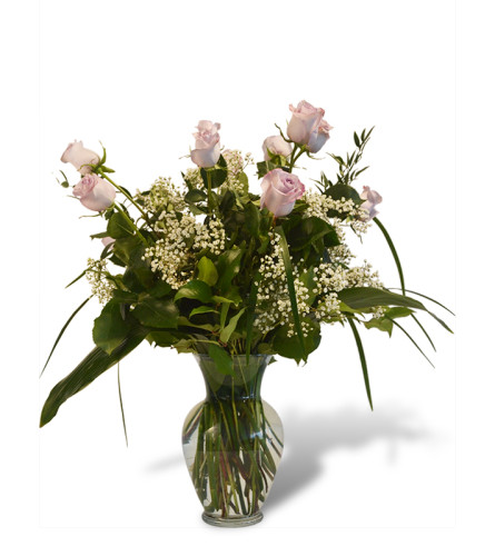 Premium Dozen Roses in Purple