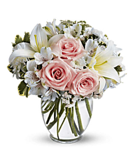 Stylish Blooms