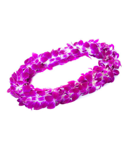 Pick Up Only Please Call and Order in Advance - Purple (Double)