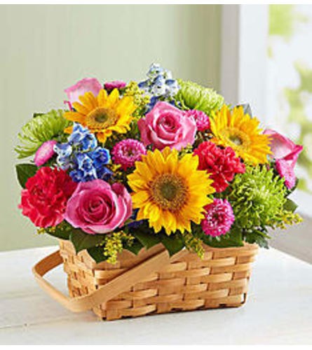 SUNNY GARDEN BASKET