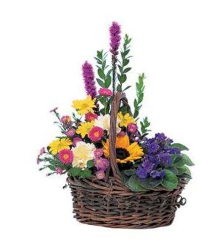 Petals and Plants Combo Basket