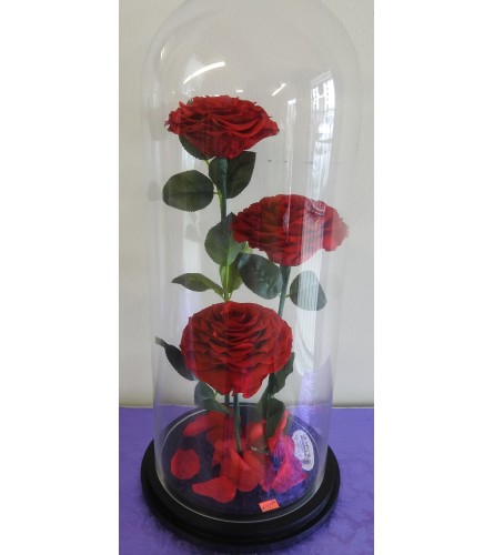 ENCHANTED ROSES RED TRIO